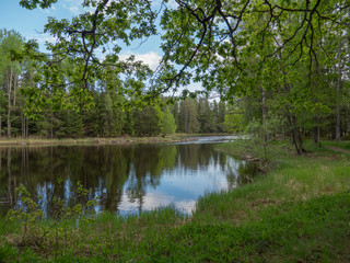 Fototapeta na wymiar Swedish river and salmon area in spring