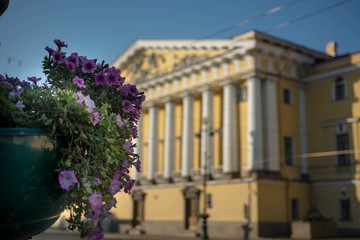 Purple flowers in front of historic building - Powered by Adobe