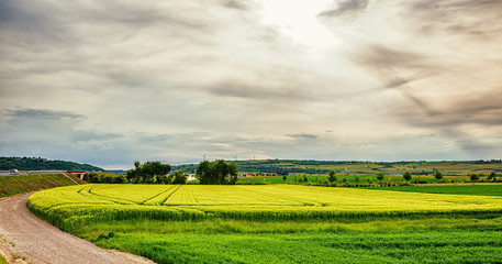 landscape with green field and blue sky
