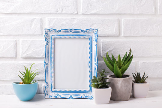 Blank Blue Frame Mockup And Succulents And Cactus Plants In Pots