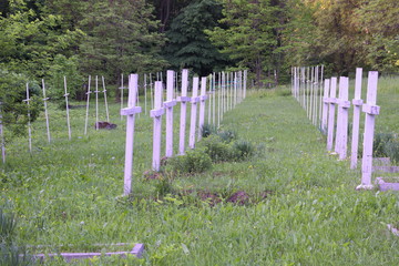 Convent burial ground. Unmarked graves of monks.