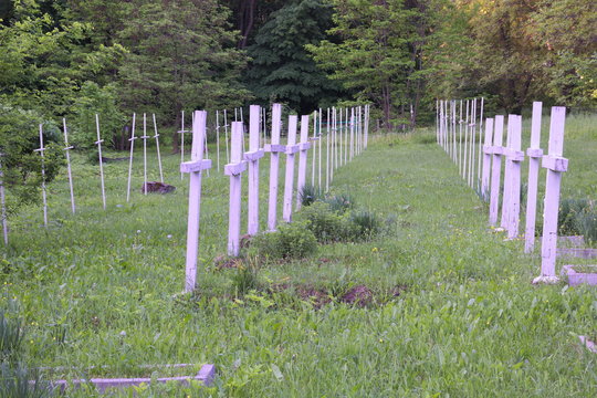 Convent Burial Ground. Unmarked Graves Of Monks.