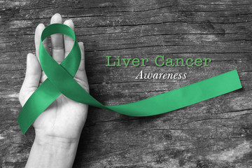 Liver Cancer and Hepatitis B - HVB Awareness month ribbon, Emerald Green (Jade) ribbon awareness...