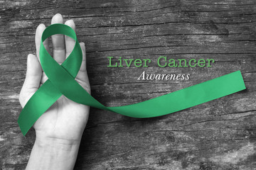 Liver Cancer and Hepatitis B - HVB Awareness month ribbon, Emerald Green (Jade) ribbon awareness color on helping hand