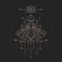 Vector illustration with hand drawn Wasp and Sacred geometric symbol on black vintage background. Abstract mystic sign.