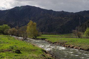 Fototapeta na wymiar Mountain river stream among green fields