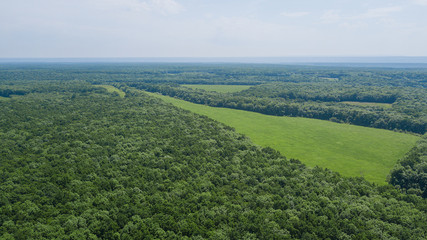 Aerial landscape nature - Dense green forest, green meadows, blue sky in southern Russia