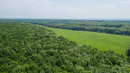 Naklejka premium Aerial landscape nature - Dense green forest, green meadows, blue sky in southern Russia