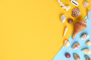 Fototapeta na wymiar Summer vacation composition idea, seashells on blue and yellow background