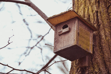 Bird house hanging on a tree