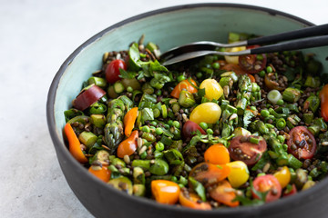 Du Puy lentils, cherry tomatoes, asparagus, sweet peas, scallions, parsley, cilantro, basil salad with vinaigrette in a pottery salad bowl. Side view, light background. 