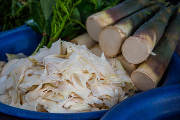 Thinly Sliced Edible Bamboo Shoots
