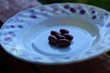 Natural and organic bean grains