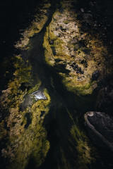 A river of algae 