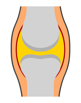 knee joint anatomy diagram clip art preview