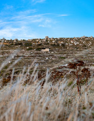A small room in which hunters used to hide