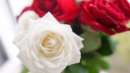 bouquet of beautiful festive flowers of red and white roses