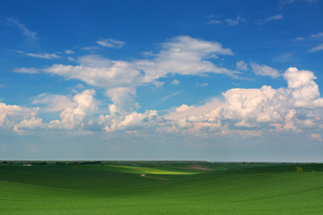 Spring green field and cblue sky with clouds. Ukraine, Volhynia