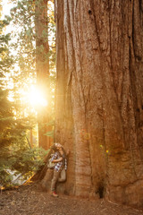 Obraz na płótnie Canvas hiker in Sequoia national park in California, USA