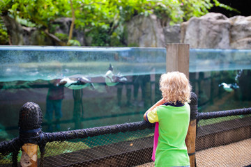 Kids watch penguin at zoo. Child at safari park.