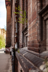 Old city streets in retro style. Kaliningrad