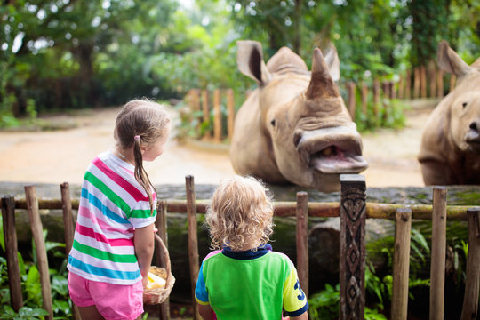 Kids Feed Rhino In Zoo. Family At Animal Park.