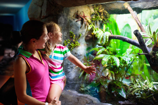 Family Watching Snake In Zoo Terrarium.