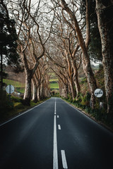 Fototapeta premium azores sao miguel