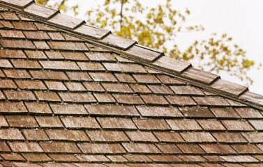 Cedar shingle roof with some tree debris and small amounts of moss  © RenaMarie