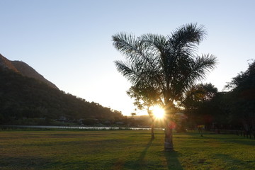 Sunset in valley behind palm tree