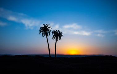 Obraz na płótnie Canvas Tropical palm coconut trees on sunset sky nature background. Silhouette coconut palm trees on beach at sunset