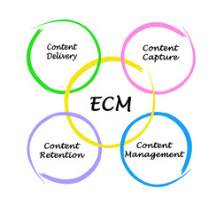 Components of Enterprise content management