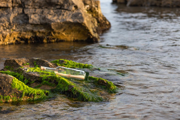 Message in a bottle on a stone covered with seaweed
