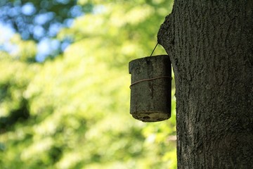 side view of a birdhouse of stone, nesting box hanging on a tree