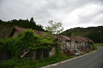 Fototapeta na wymiar 古くて美しい日本の建物