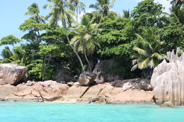 Fototapeta na wymiar Die kleine Insel St. Pierre mit Palmen und den für die Seychellen typischen Granitfelsen. Seychellen