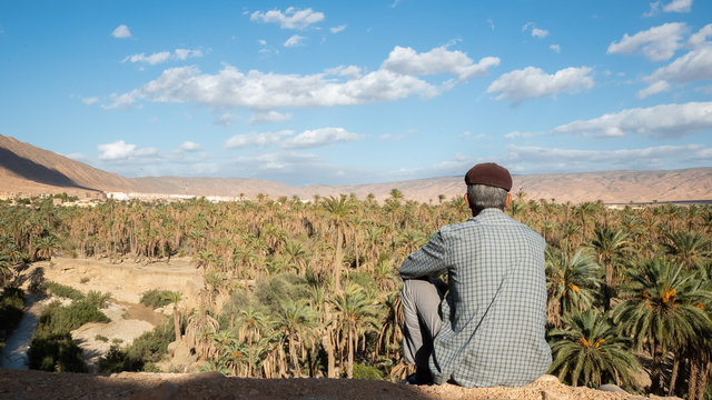 Old man overlooking date palm groves in desert oasis in Algeria