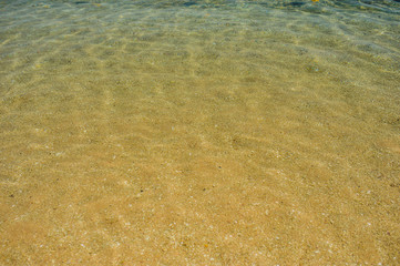 view of clean and clear Red Sea