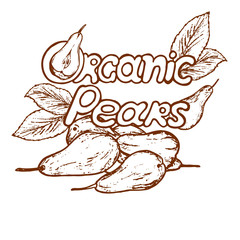 logo organic pears