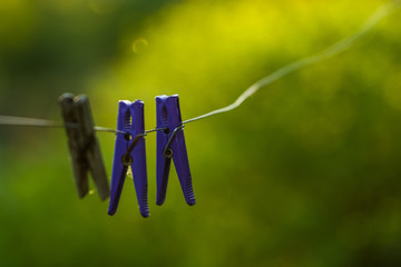 Rope on a green background, in rays of the sunset sun with plastic violet and wooden clothespegs for drying of linen. Background.