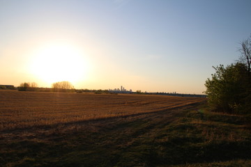 Obraz premium Sunset On The Farmers Field, Edmonton, Alberta