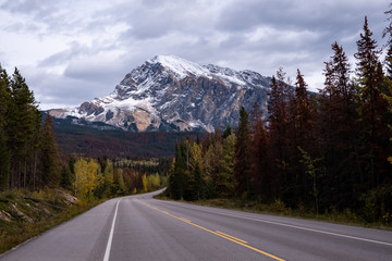 Naklejka premium On the road through the Canadian Rockies