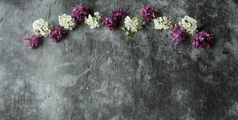 Flowers buds petals in a scattering on a gray abstract background. Gray gloomy cement floor. Purple and white bloom.