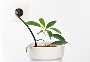 Green energy from the outlet