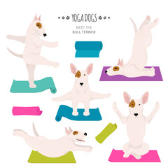 Yoga dogs poses and exercises. Bull terrier clipart