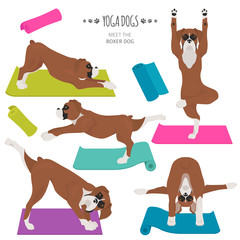 Yoga dogs poses and exercises. Boxer dog clipart