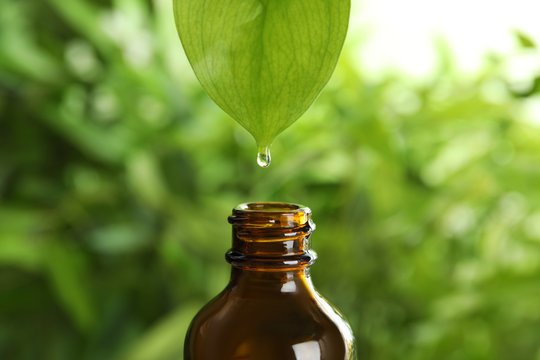 Essential oil dripping from leaf into glass bottle on blurred background