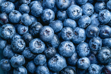 Freshly Washed Blueberries