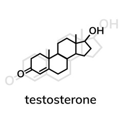 Testosterone vector icon with shadow on white background