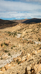 Desert canyon in Algeria